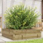 vidaXL Pflanzkübel 80x80x23 cm Kiefernholz Imprägniert vidaXL Pflanzkübel 80x80x23 cm Kiefernholz Imprägniert