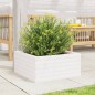 vidaXL Pflanzkübel Weiß 50x50x23 cm Massivholz Kiefer vidaXL Pflanzkübel Weiß 50x50x23 cm Massivholz Kiefer