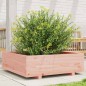 vidaXL Pflanzkübel 80x80x26,5 cm Massivholz Douglasie vidaXL Pflanzkübel 80x80x26,5 cm Massivholz Douglasie