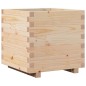 vidaXL Pflanzkübel 50x50x49,5 cm Massivholz Kiefer vidaXL Pflanzkübel 50x50x49,5 cm Massivholz Kiefer
