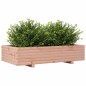 vidaXL Pflanzkübel 110x60x26,5 cm Massivholz Douglasie vidaXL Pflanzkübel 110x60x26,5 cm Massivholz Douglasie