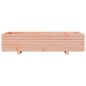 vidaXL Pflanzkübel 110x60x26,5 cm Massivholz Douglasie vidaXL Pflanzkübel 110x60x26,5 cm Massivholz Douglasie