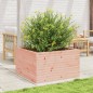 vidaXL Pflanzkübel 80x80x45,5 cm Massivholz Douglasie vidaXL Pflanzkübel 80x80x45,5 cm Massivholz Douglasie