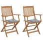 vidaXL Klappbare Gartenstühle 2 Stk. mit Kissen Massivholz Akazie vidaXL Klappbare Gartenstühle 2 Stk. mit Kissen Massivholz Akazie