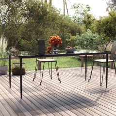 vidaXL Garten-Esstisch Schwarz 200x100x74 cm Stahl und Hartglas