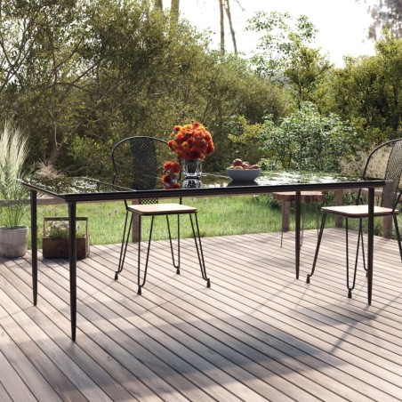 vidaXL Garten-Esstisch Schwarz 200x100x74 cm Stahl und Hartglas