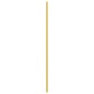 vidaXL Möbelgriffe 10 Stk. Golden 480 mm Edelstahl vidaXL Möbelgriffe 10 Stk. Golden 480 mm Edelstahl