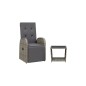 vidaXL 2-tlg. Garten-Essgruppe mit Kissen Grau Poly Rattan vidaXL 2-tlg. Garten-Essgruppe mit Kissen Grau Poly Rattan