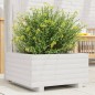 vidaXL Pflanzkübel Weiß 50x50x26,5 cm Massivholz Kiefer vidaXL Pflanzkübel Weiß 50x50x26,5 cm Massivholz Kiefer