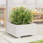 vidaXL Pflanzkübel Weiß 50x50x26,5 cm Massivholz Kiefer vidaXL Pflanzkübel Weiß 50x50x26,5 cm Massivholz Kiefer