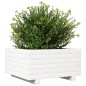 vidaXL Pflanzkübel Weiß 50x50x26,5 cm Massivholz Kiefer vidaXL Pflanzkübel Weiß 50x50x26,5 cm Massivholz Kiefer