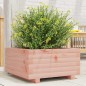vidaXL Pflanzkübel 50x50x26,5 cm Massivholz Douglasie vidaXL Pflanzkübel 50x50x26,5 cm Massivholz Douglasie