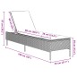 vidaXL Sonnenliegen mit Auflagen 2 Stk. Hellgrau Poly Rattan vidaXL Sonnenliegen mit Auflagen 2 Stk. Hellgrau Poly Rattan
