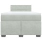 vidaXL Boxspringbett mit Matratze Hellgrau 120x200 cm Samt vidaXL Boxspringbett mit Matratze Hellgrau 120x200 cm Samt