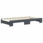 vidaXL Tagesbett Ausziehbar Dunkelgrau 100x200 cm Samt vidaXL Tagesbett Ausziehbar Dunkelgrau 100x200 cm Samt