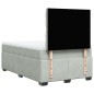 vidaXL Boxspringbett mit Matratze Hellgrau 120x200 cm Samt vidaXL Boxspringbett mit Matratze Hellgrau 120x200 cm Samt