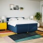 vidaXL Boxspringbett mit Matratze Blau 200x200 cm Stoff vidaXL Boxspringbett mit Matratze Blau 200x200 cm Stoff
