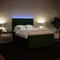 vidaXL Boxspringbett mit Matratze Dunkelgrün 160x200 cm Samt vidaXL Boxspringbett mit Matratze Dunkelgrün 160x200 cm Samt