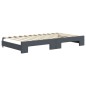 vidaXL Tagesbett Ausziehbar mit Schubladen Dunkelgrau 100x200 cm Samt vidaXL Tagesbett Ausziehbar mit Schubladen Dunkelgrau 100x200 cm Samt