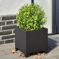 vidaXL Pflanzkübel 2 Stk. Schwarz 30x30x30 Stahl vidaXL Pflanzkübel 2 Stk. Schwarz 30x30x30 Stahl