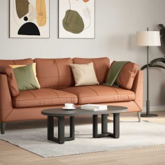 vidaXL Couchtischbeine T-Form 2 Stk. Schwarz 30x25x(30-31) cm Stahl