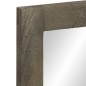 vidaXL Badspiegel Grau 50x3x70 cm Massivholz Mango