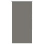 vidaXL Verdunkelungsrollo Grau 65x150 cm Stoffbreite 60,7 cm Polyester vidaXL Verdunkelungsrollo Grau 65x150 cm Stoffbreite 60,7 cm Polyester