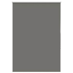 vidaXL Verdunkelungsrollo Grau 100x150cm Stoffbreite 95,7 cm Polyester