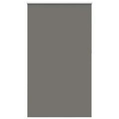 vidaXL Verdunkelungsrollo Grau 120x230cm Stoffbreite 116,6cm Polyester