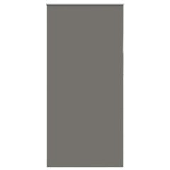vidaXL Verdunkelungsrollo Grau 100x230 cm Stoffbreite 95,7cm Polyester
