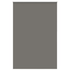 vidaXL Verdunkelungsrollo Grau 165x230cm Stoffbreite 161,6cm Polyester
