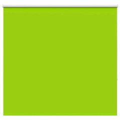 vidaXL Verdunkelungsrollo Grün 145x150cm Stoffbreite 141,6cm Polyester