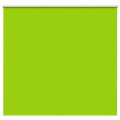 vidaXL Verdunkelungsrollo Grün 165x150cm Stoffbreite 161,6cm Polyester