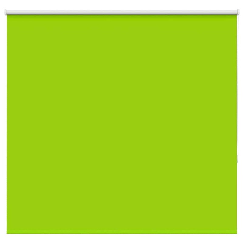 vidaXL Verdunkelungsrollo Grün 165x150cm Stoffbreite 161,6cm Polyester