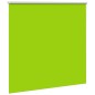 vidaXL Verdunkelungsrollo Grün 160x130cm Stoffbreite 156,6cm Polyester vidaXL Verdunkelungsrollo Grün 160x130cm Stoffbreite 156,6cm Polyester