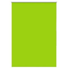 vidaXL Verdunkelungsrollo Grün 100x175cm Stoffbreite 95,7 cm Polyester