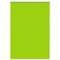 vidaXL Verdunkelungsrollo Grün 100x175cm Stoffbreite 95,7 cm Polyester vidaXL Verdunkelungsrollo Grün 100x175cm Stoffbreite 95,7 cm Polyester