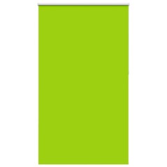 vidaXL Verdunkelungsrollo Grün 125x210cm Stoffbreite 121,6cm Polyester