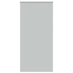 vidaXL Verdunkelungsrollo Hellgrau 100x230 cm Stoffbreite 95,7cm