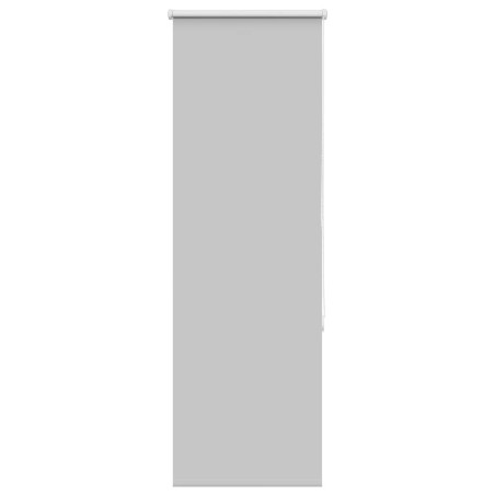 vidaXL Verdunkelungsrollo Hellgrau 40x150cm Stoffbreite 35,7cm
