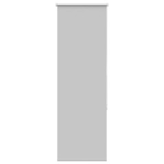 vidaXL Verdunkelungsrollo Hellgrau 55x175 cm Stoffbreite 50,7 cm