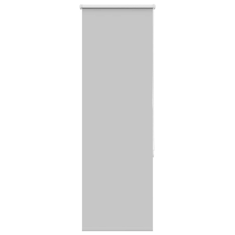 vidaXL Verdunkelungsrollo Hellgrau 55x175 cm Stoffbreite 50,7 cm vidaXL Verdunkelungsrollo Hellgrau 55x175 cm Stoffbreite 50,7 cm