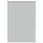 vidaXL Verdunkelungsrollo Hellgrau 100x150cm Stoffbreite 95,7 cm vidaXL Verdunkelungsrollo Hellgrau 100x150cm Stoffbreite 95,7 cm