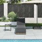 vidaXL Klappliege mit Auflage und Stauraum Grau Poly-Rattan vidaXL Klappliege mit Auflage und Stauraum Grau Poly-Rattan