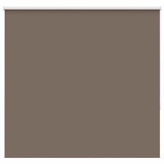 vidaXL Verdunkelungsrollo Kaffeebraun 165x150 cm Stoffbreite 161,6 cm