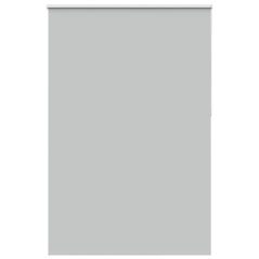 vidaXL Verdunkelungsrollo Hellgrau 165x230cm Stoffbreite 161,6cm