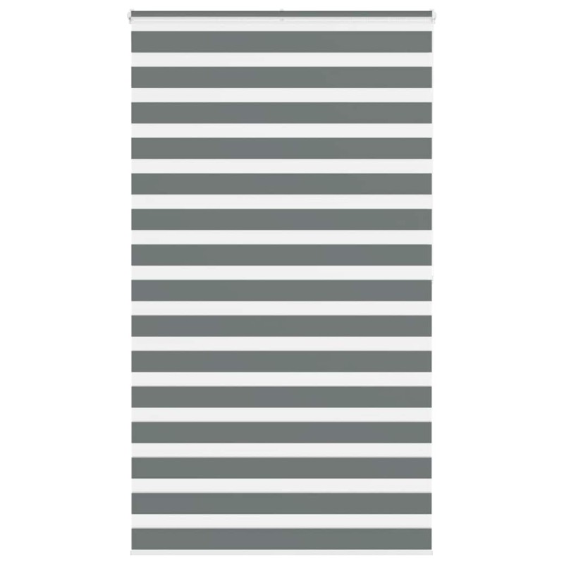 vidaXL Zebrarollo Dunkelgrau 125x200 cm Stoffbreite 120,9 cm Polyester vidaXL Zebrarollo Dunkelgrau 125x200 cm Stoffbreite 120,9 cm Polyester