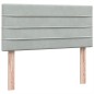 vidaXL Boxspringbett mit Matratze Hellgrau 80x220 cm Samt vidaXL Boxspringbett mit Matratze Hellgrau 80x220 cm Samt
