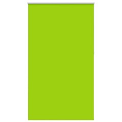 vidaXL Verdunkelungsrollo Grün 125x230cm Stoffbreite 121,6cm Polyester