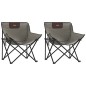 vidaXL Campingstühle 2 Stk. mit Tasche Klappbar Grau vidaXL Campingstühle 2 Stk. mit Tasche Klappbar Grau